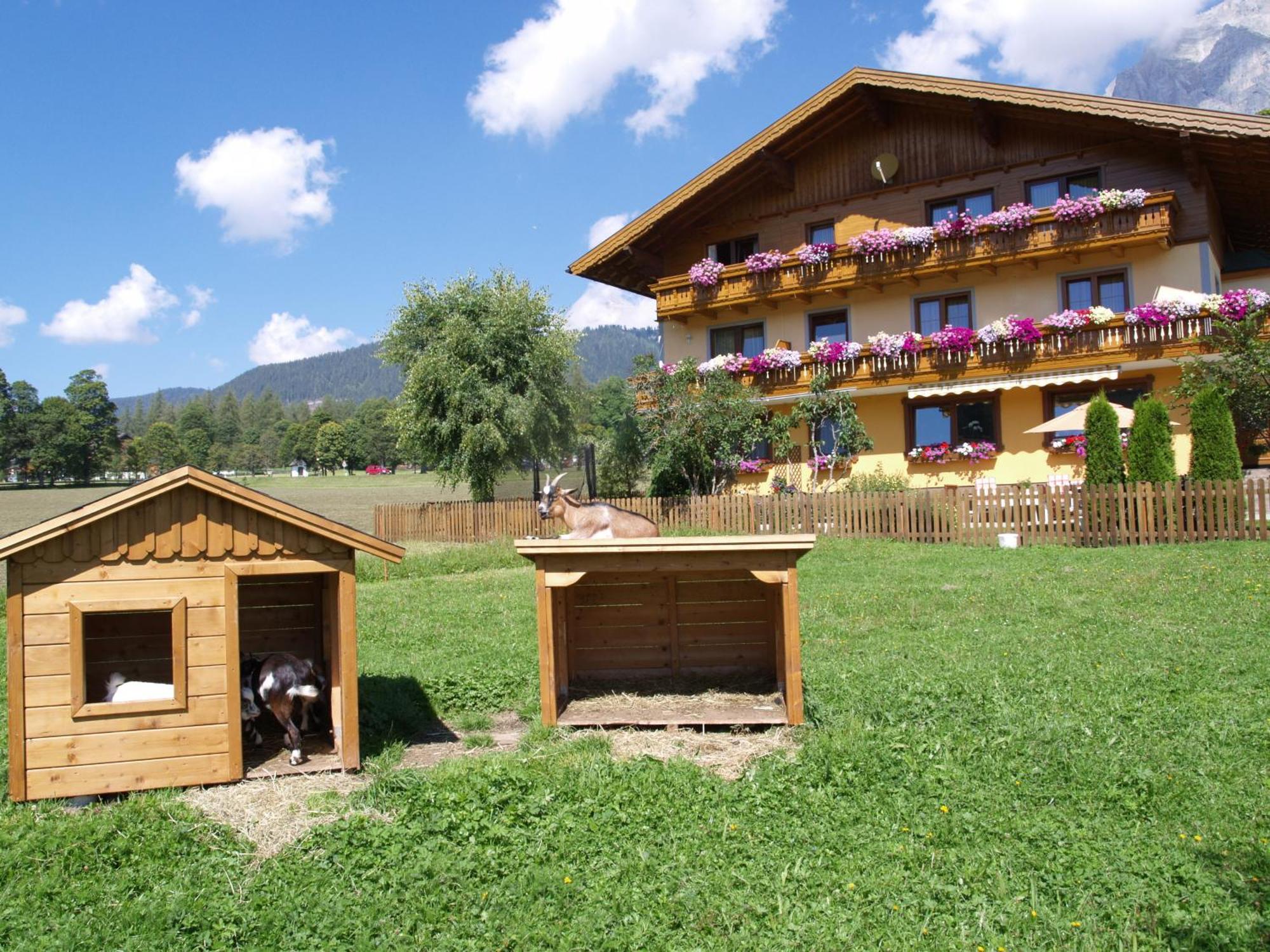 Ferienwohnung Alpenecho Ramsau am Dachstein Zewnętrze zdjęcie